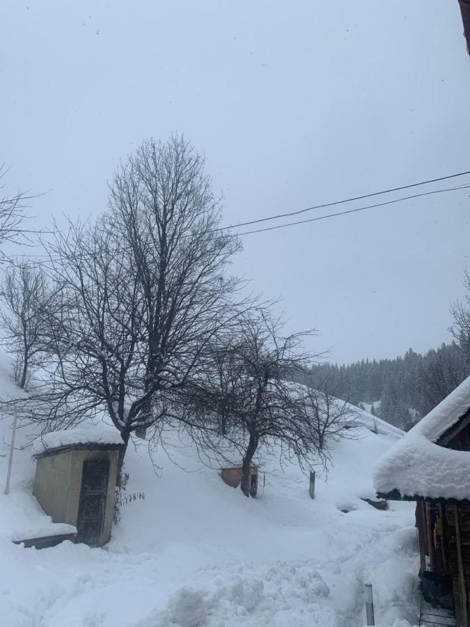 Cottage house Podobovets Exterior photo